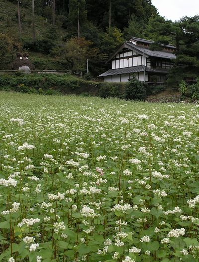 空き家