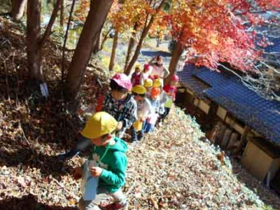 どんぐり山で山登りをする園児たち