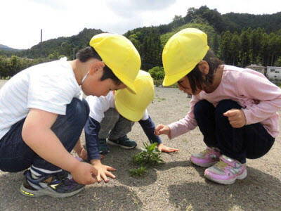 テントウムシをみつける子どもたち　写真