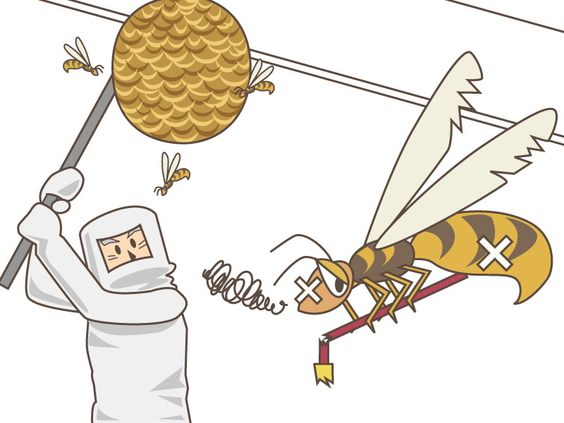 埼玉県ときがわ町 ハチの巣の駆除について 埼玉県ときがわ町