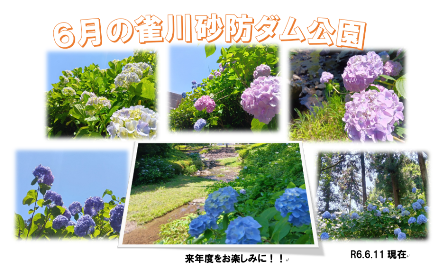 季節の写真