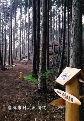 坐禅岩付近林間道の画像