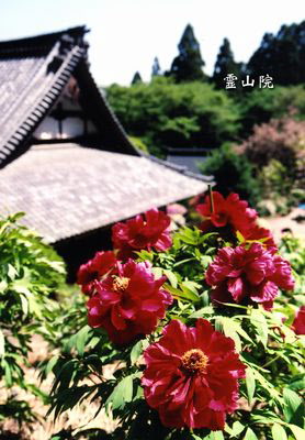 霊山院の画像