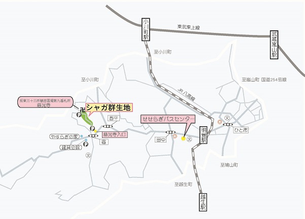 ときがわ町の慈光寺周辺のシャガ群生地地図