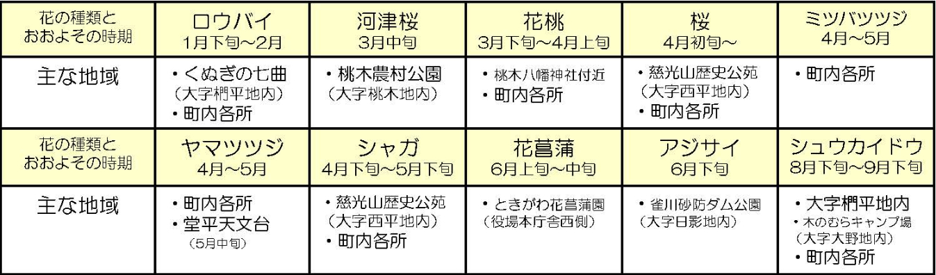 開花時期と地域一覧表