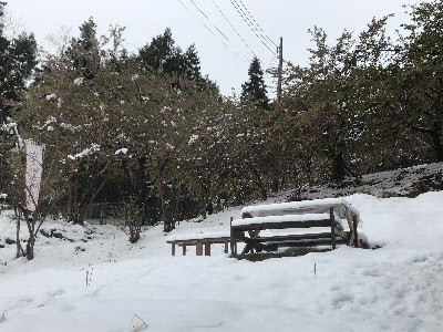 令和２年３月３０日降雪ありの画像