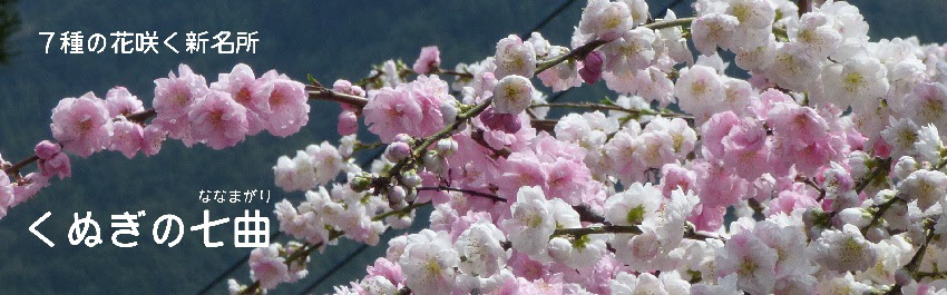 埼玉県ときがわ町 ７種の花咲く隠れた名所 くぬぎの七曲 ななまがり 埼玉県ときがわ町