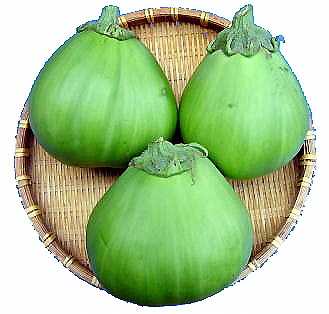 埼玉青なす　画像
