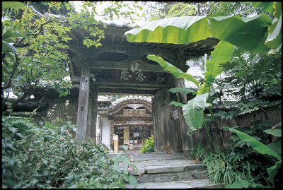 遺跡跡地　画像