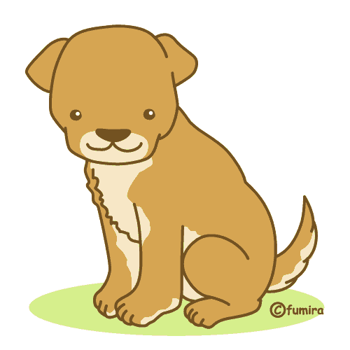 埼玉県ときがわ町 犬を飼っている方のために 埼玉県ときがわ町 埼玉県ときがわ町 犬を飼っている方のために 埼玉県ときがわ町